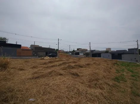 Comprar Terreno / Padr&atilde;o em Bady Bassitt R$ 100.000,00 - Foto 6