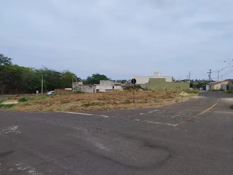 Comprar Terreno / Padr&atilde;o em Bady Bassitt R$ 100.000,00 - Foto 7