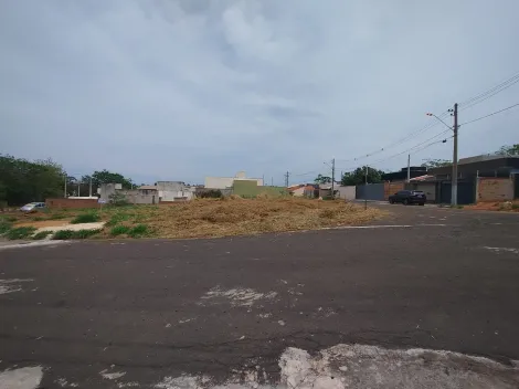 Comprar Terreno / Padr&atilde;o em Bady Bassitt R$ 100.000,00 - Foto 9