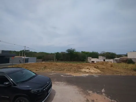 Comprar Terreno / Padr&atilde;o em Bady Bassitt R$ 100.000,00 - Foto 10