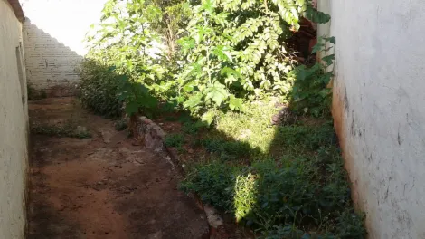 Alugar Casa / Padr&atilde;o em S&atilde;o Jos&eacute; do Rio Preto R$ 1.300,00 - Foto 17