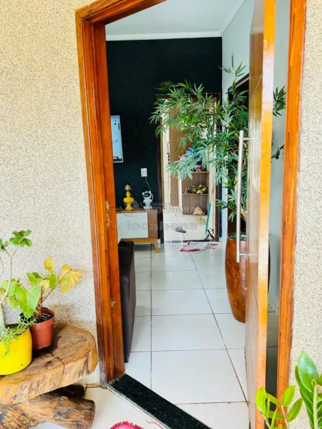 Comprar Casa / Padr&atilde;o em S&atilde;o Jos&eacute; do Rio Preto R$ 300.000,00 - Foto 15