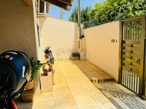Alugar Casa / Padr&atilde;o em S&atilde;o Jos&eacute; do Rio Preto. apenas R$ 300.000,00