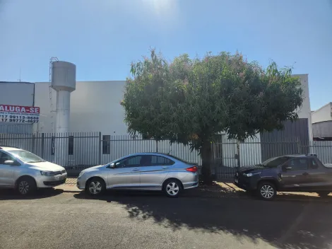 Comercial / Sal&atilde;o em S&atilde;o Jos&eacute; do Rio Preto 