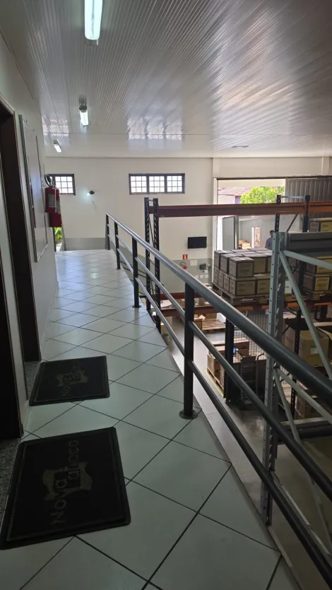 Alugar Comercial / Pr&eacute;dio Inteiro em S&atilde;o Jos&eacute; do Rio Preto R$ 3.800,00 - Foto 6