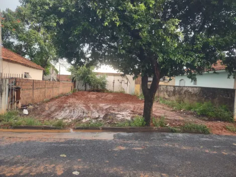Terreno / Padr&atilde;o em S&atilde;o Jos&eacute; do Rio Preto 