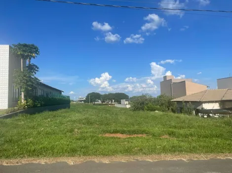 Terreno / Condom&iacute;nio em Fronteira 