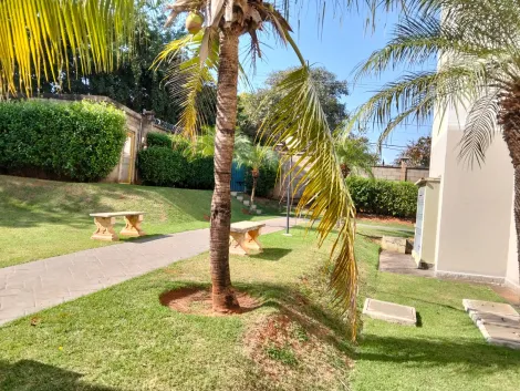 Alugar Apartamento / Padr&atilde;o em S&atilde;o Jos&eacute; do Rio Preto R$ 747,59 - Foto 11