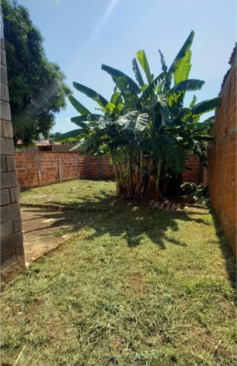 Comprar Rural / Ch&aacute;cara em S&atilde;o Jos&eacute; do Rio Preto R$ 150.000,00 - Foto 5
