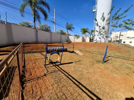 Alugar Apartamento / Padr&atilde;o em S&atilde;o Jos&eacute; do Rio Preto R$ 1.100,00 - Foto 11