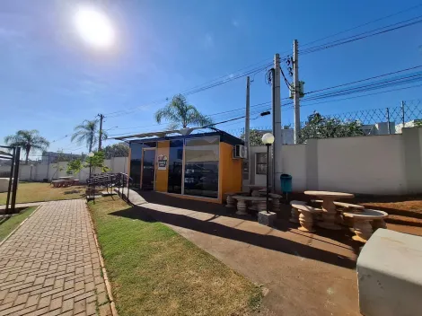 Alugar Apartamento / Padr&atilde;o em S&atilde;o Jos&eacute; do Rio Preto R$ 1.100,00 - Foto 12