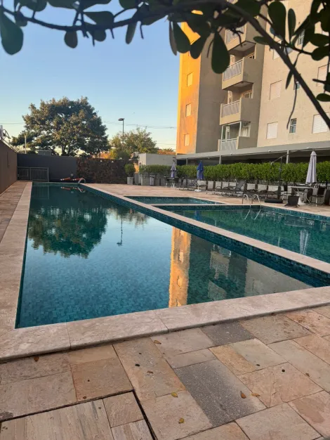 Alugar Apartamento / Cobertura em S&atilde;o Jos&eacute; do Rio Preto R$ 2.800,00 - Foto 27