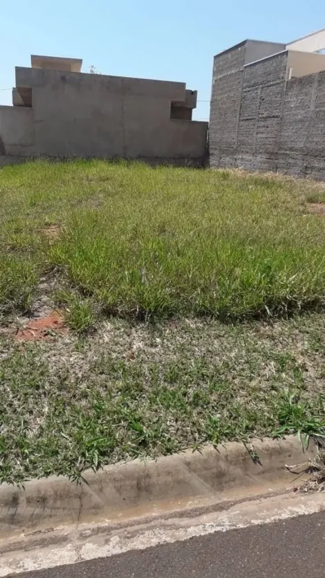 Comprar Terreno / Condom&iacute;nio em S&atilde;o Jos&eacute; do Rio Preto R$ 133.000,00 - Foto 2