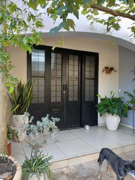 Alugar Casa / Padr&atilde;o em S&atilde;o Jos&eacute; do Rio Preto. apenas R$ 550.000,00