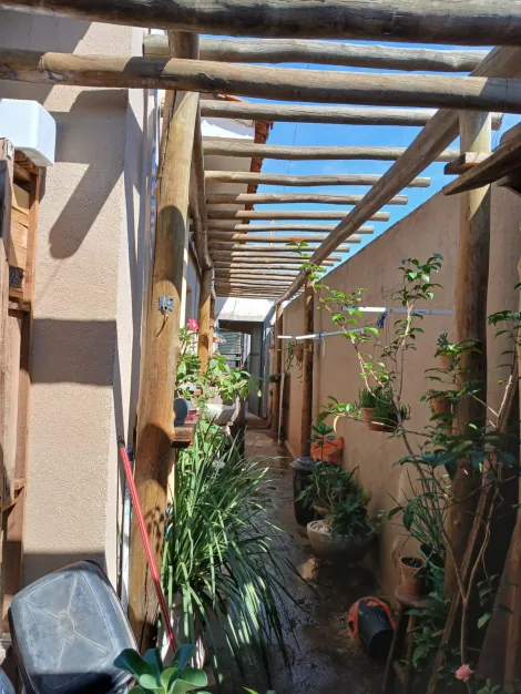 Comprar Casa / Padr&atilde;o em S&atilde;o Jos&eacute; do Rio Preto R$ 550.000,00 - Foto 13