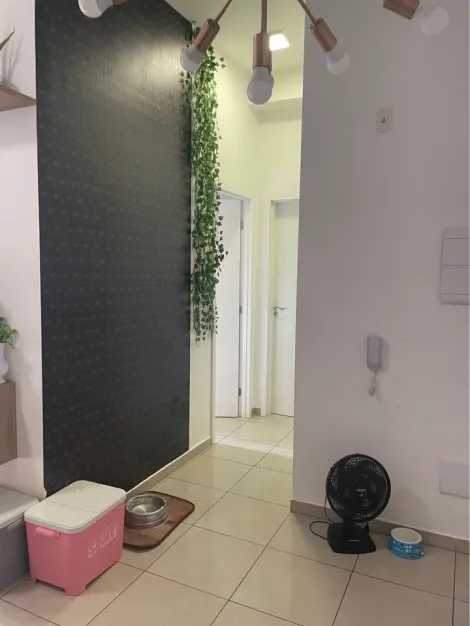 Alugar Apartamento / Padr&atilde;o em S&atilde;o Jos&eacute; do Rio Preto R$ 1.600,00 - Foto 2