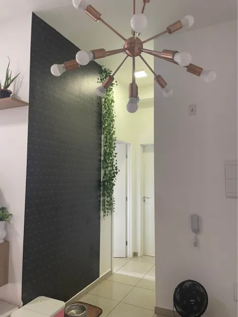 Alugar Apartamento / Padr&atilde;o em S&atilde;o Jos&eacute; do Rio Preto R$ 1.600,00 - Foto 5