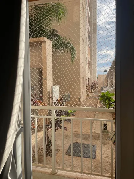 Alugar Apartamento / Padr&atilde;o em S&atilde;o Jos&eacute; do Rio Preto R$ 1.600,00 - Foto 6