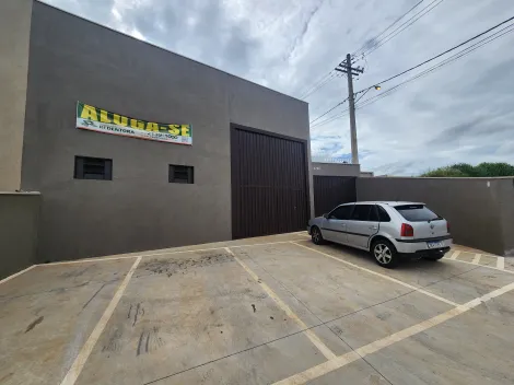 Comercial / Sal&atilde;o em S&atilde;o Jos&eacute; do Rio Preto 