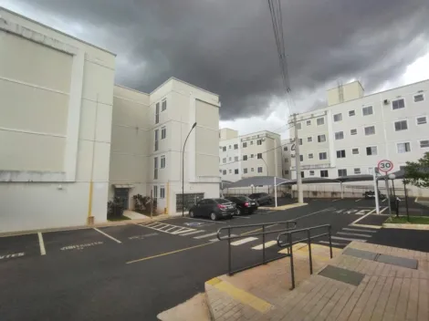 Alugar Apartamento / Padr&atilde;o em S&atilde;o Jos&eacute; do Rio Preto R$ 800,00 - Foto 10