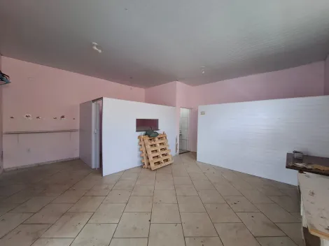 Comercial / Sal&atilde;o em S&atilde;o Jos&eacute; do Rio Preto 