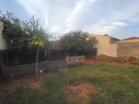 Alugar Casa / Padr&atilde;o em S&atilde;o Jos&eacute; do Rio Preto R$ 1.250,00 - Foto 15
