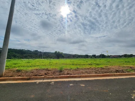 Terreno / Padr&atilde;o em S&atilde;o Jos&eacute; do Rio Preto 