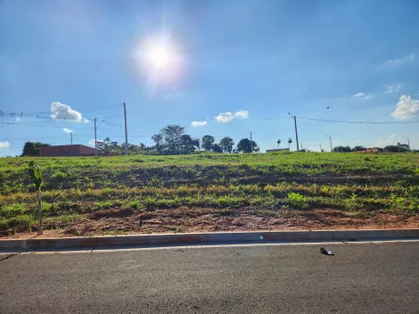 Terreno / Padr&atilde;o em S&atilde;o Jos&eacute; do Rio Preto 