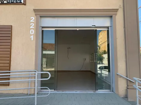 Comprar Comercial / Sala em S&atilde;o Jos&eacute; do Rio Preto - Foto 15