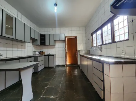 Alugar Casa / Padr&atilde;o em S&atilde;o Jos&eacute; do Rio Preto R$ 4.500,00 - Foto 8