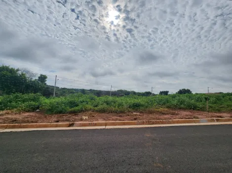 Alugar Terreno / Padr&atilde;o em S&atilde;o Jos&eacute; do Rio Preto. apenas R$ 94.000,00
