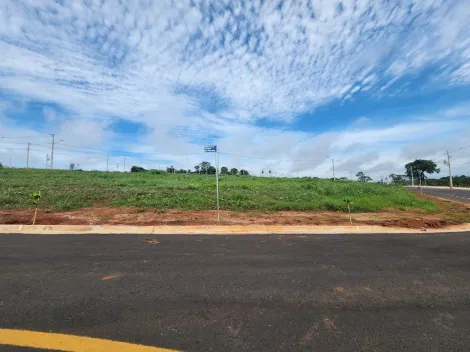 Terreno / Padr&atilde;o em S&atilde;o Jos&eacute; do Rio Preto 