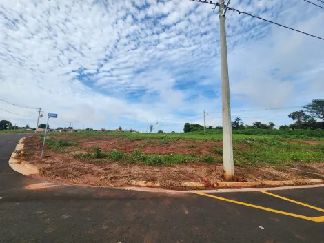 Terreno / Padr&atilde;o em S&atilde;o Jos&eacute; do Rio Preto 