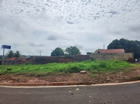Terreno / Padr&atilde;o em S&atilde;o Jos&eacute; do Rio Preto 