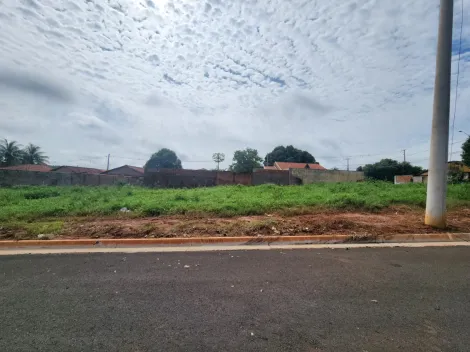 Terreno / Padr&atilde;o em S&atilde;o Jos&eacute; do Rio Preto 