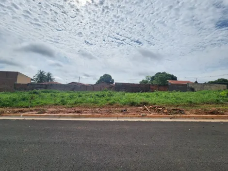 Terreno / Padr&atilde;o em S&atilde;o Jos&eacute; do Rio Preto 