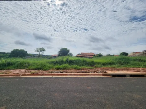 Terreno / Padr&atilde;o em S&atilde;o Jos&eacute; do Rio Preto 
