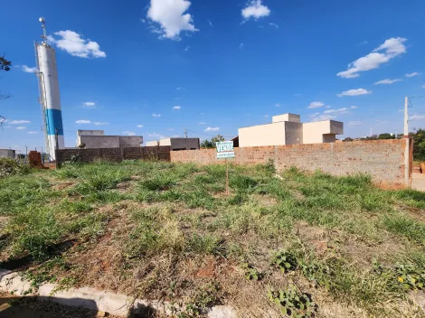 Terreno / Padr&atilde;o em Palestina 
