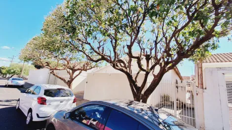 Alugar Casa / Padr&atilde;o em S&atilde;o Jos&eacute; do Rio Preto R$ 1.900,00 - Foto 27