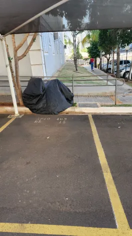 Alugar Apartamento / Padr&atilde;o em S&atilde;o Jos&eacute; do Rio Preto R$ 750,00 - Foto 11