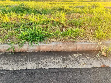 Comprar Terreno / Condom&iacute;nio em S&atilde;o Jos&eacute; do Rio Preto R$ 270.000,00 - Foto 2