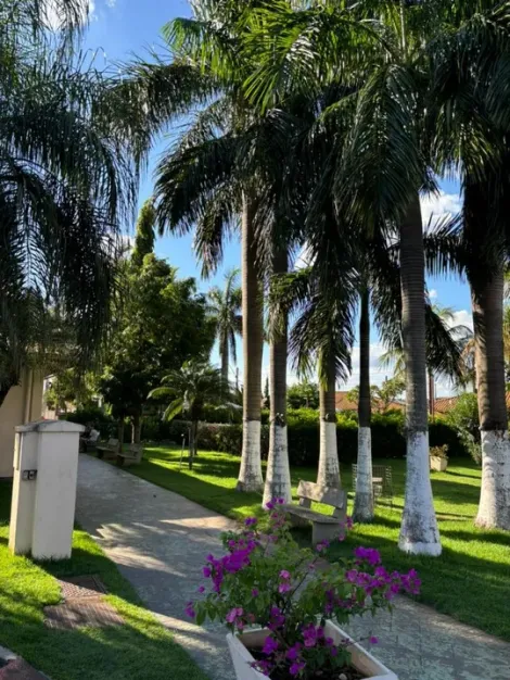 Comprar Casa / Condom&iacute;nio em S&atilde;o Jos&eacute; do Rio Preto R$ 480.000,00 - Foto 17