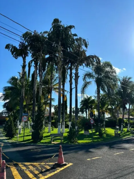 Comprar Casa / Condom&iacute;nio em S&atilde;o Jos&eacute; do Rio Preto R$ 480.000,00 - Foto 20