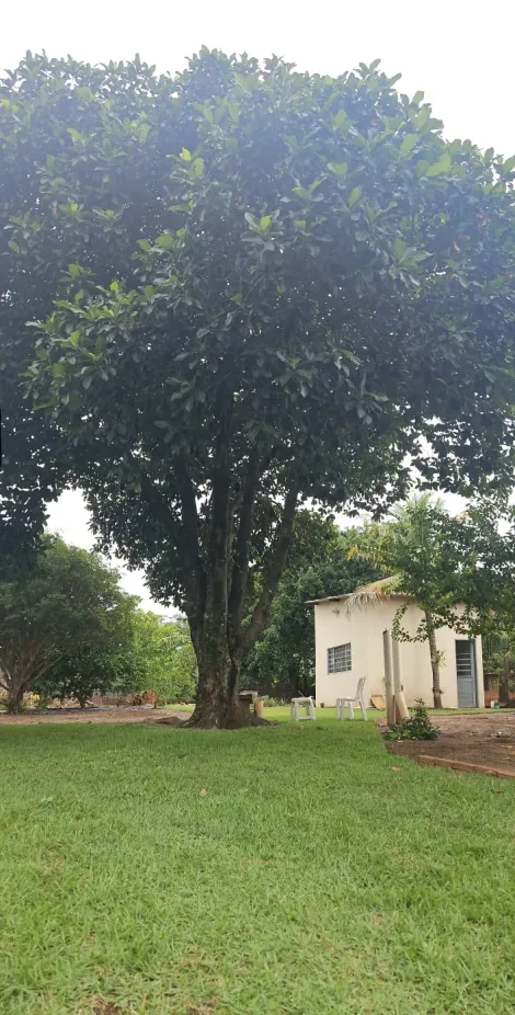 Comprar Rural / Ch&aacute;cara em S&atilde;o Jos&eacute; do Rio Preto R$ 270.000,00 - Foto 4
