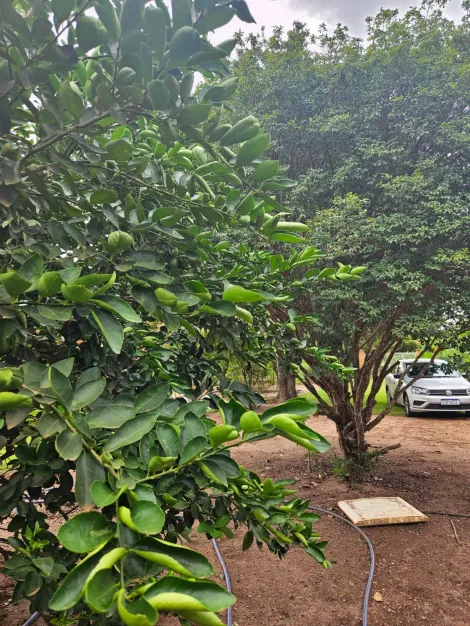 Comprar Rural / Ch&aacute;cara em S&atilde;o Jos&eacute; do Rio Preto R$ 270.000,00 - Foto 7