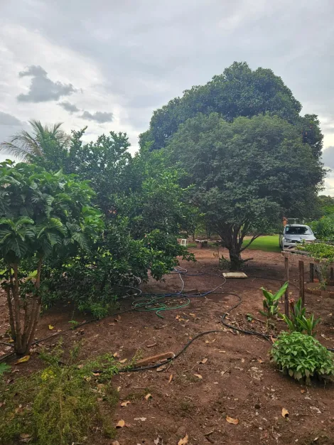 Comprar Rural / Ch&aacute;cara em S&atilde;o Jos&eacute; do Rio Preto R$ 270.000,00 - Foto 8