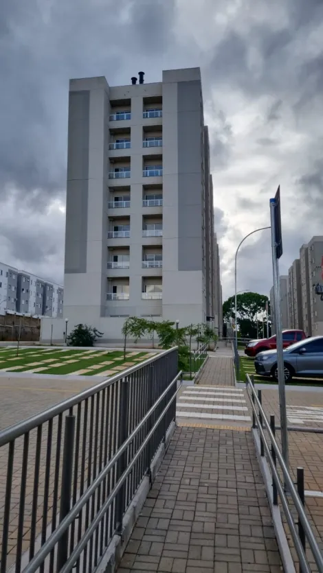 Alugar Apartamento / Padr&atilde;o em S&atilde;o Jos&eacute; do Rio Preto R$ 1.100,00 - Foto 14