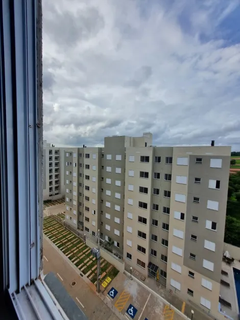 Alugar Apartamento / Padr&atilde;o em S&atilde;o Jos&eacute; do Rio Preto R$ 1.100,00 - Foto 16