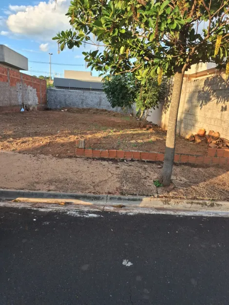 Comprar Terreno / Padr&atilde;o em Mirassol R$ 90.000,00 - Foto 2