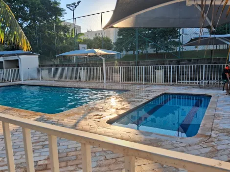 Alugar Apartamento / Padr&atilde;o em S&atilde;o Jos&eacute; do Rio Preto R$ 1.200,00 - Foto 17